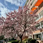 Thefairhome - 5 Min To Fair, 8Min To City Center