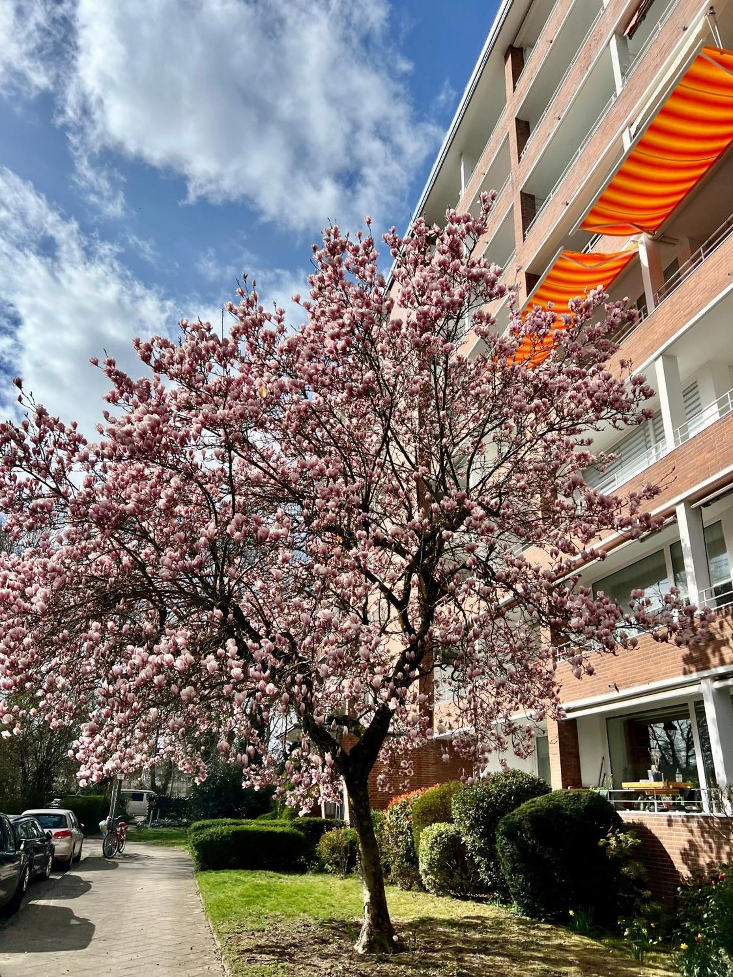 Thefairhome - 5 Min To Fair, 8min To Center Apartment *